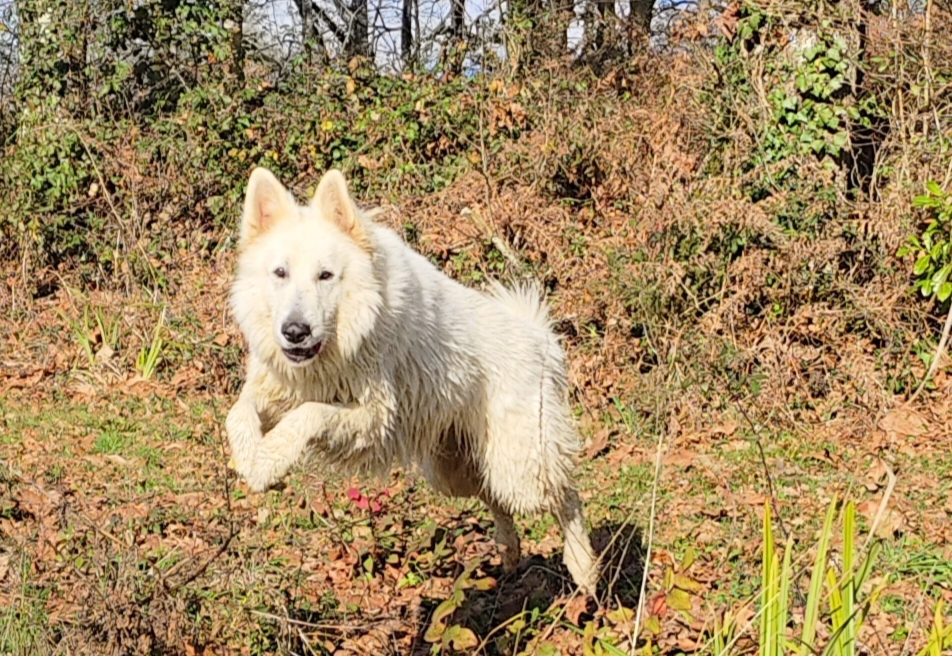 Alaska en pleine forme!